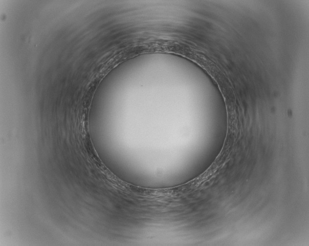 X0000070881013200606161005