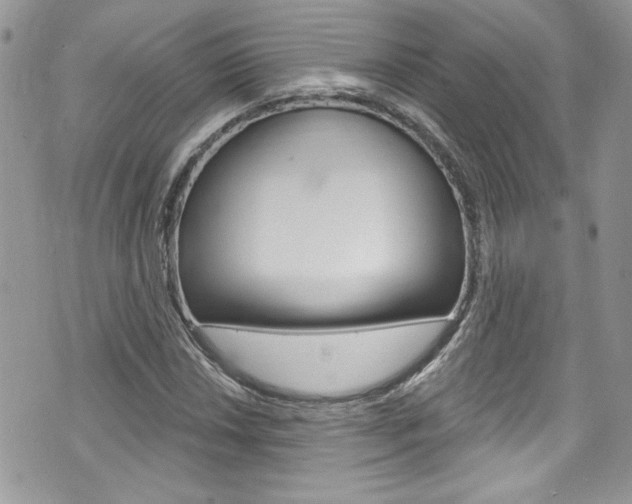X0000070881018200606161006
