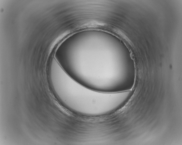 X0000070881026200606161006