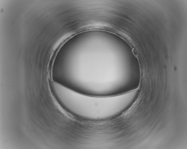 X0000070881034200606161006