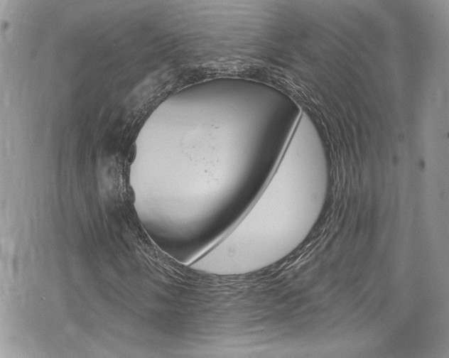 X0000070881058200606161005