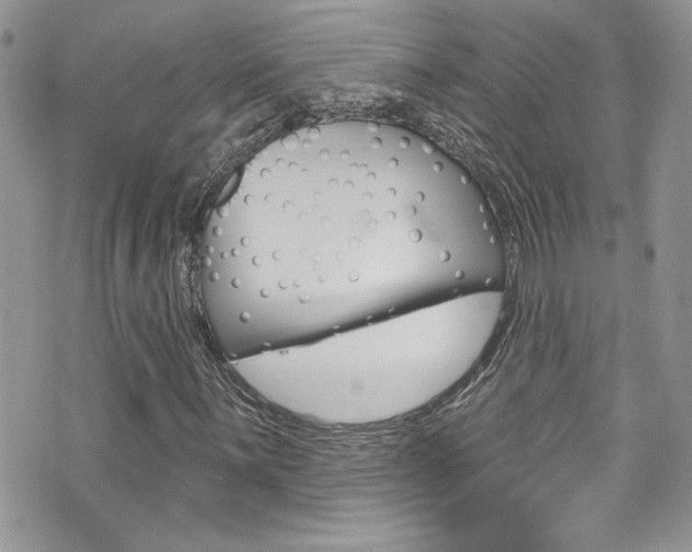 X0000070881059200606161005