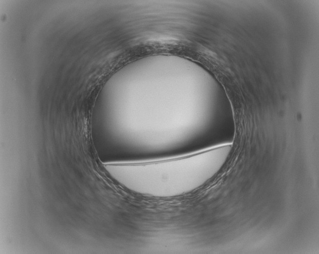 X0000070881061200606161005