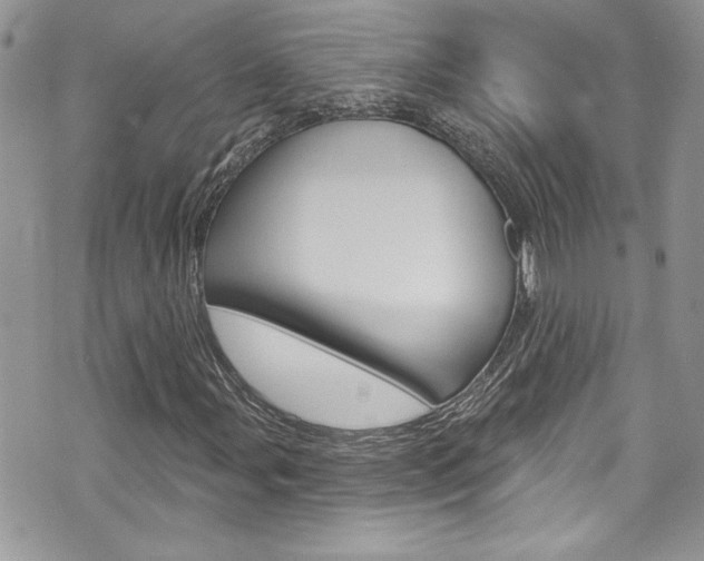 X0000070881107200606161004