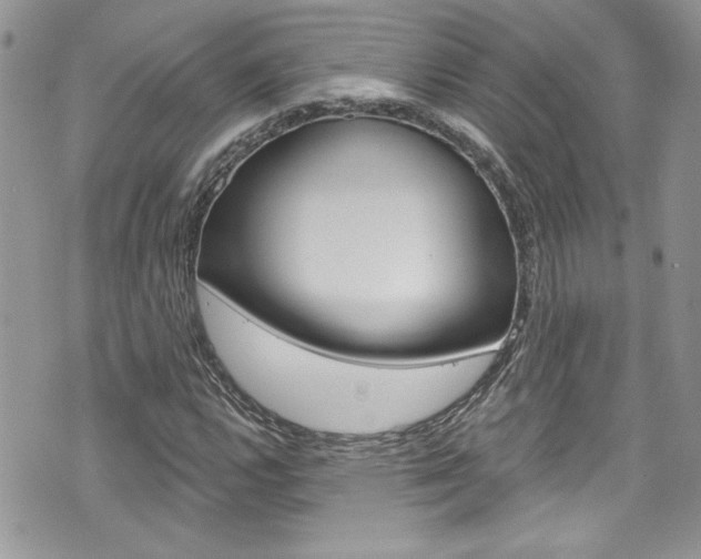 X0000070881112200606161004