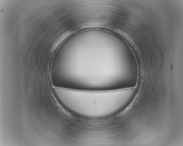 X0000070881129200606161004