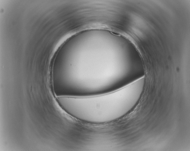 X0000070881147200606161005