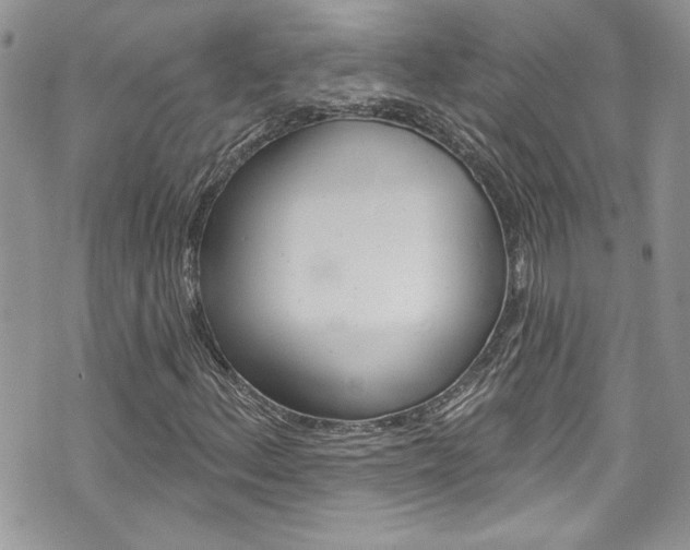 X0000070881156200606161004