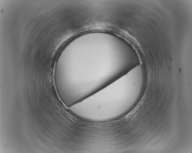 X0000070881166200606161003