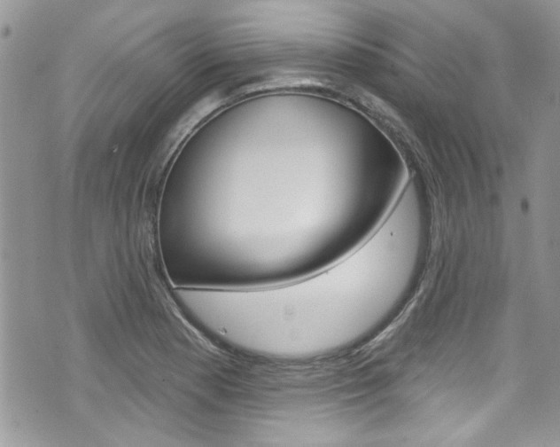 X0000070881177200606161003