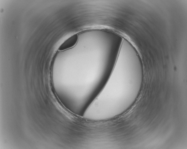 X0000070881187200606161003