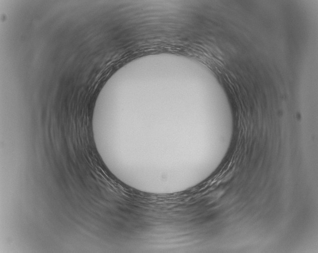 X0000070881202200606161002
