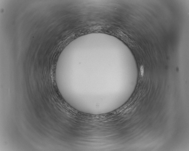 X0000070881203200606161002