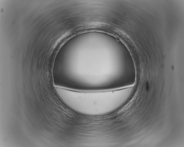 X0000070881210200606161002