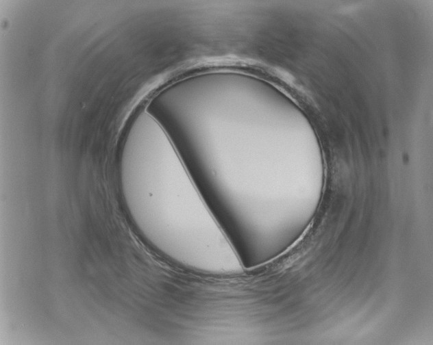 X0000070881221200606161002