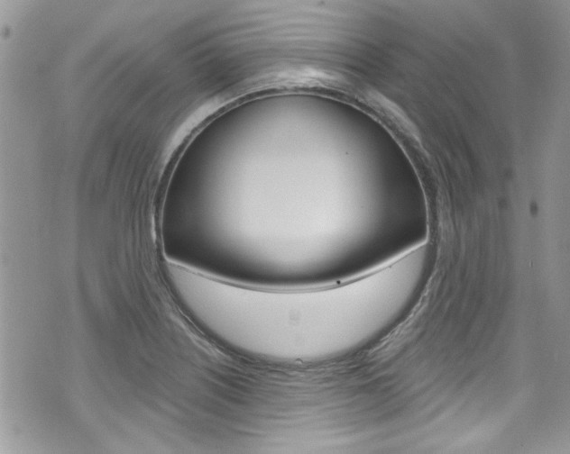 X0000070881226200606161002