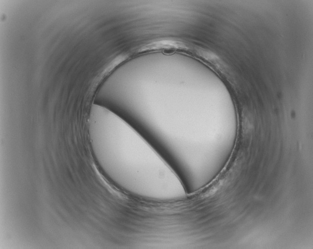X0000070881233200606161003