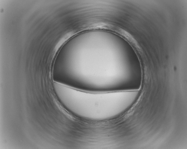 X0000070881234200606161003