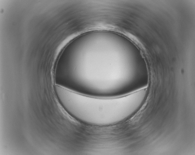 X0000070881238200606161003