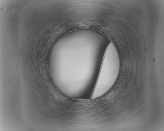 X0000070881249200606161002