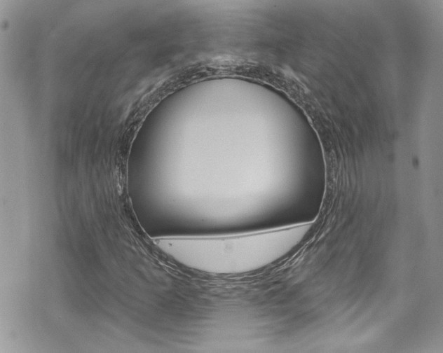 X0000070881253200606161002