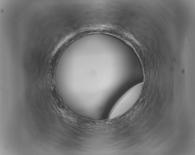 X0000070881256200606161002