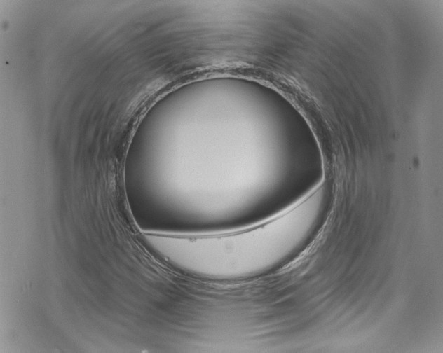 X0000070881257200606161002