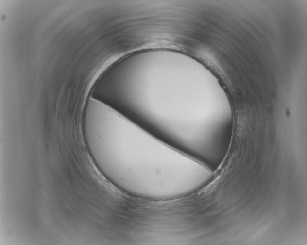 X0000070881284200606161001