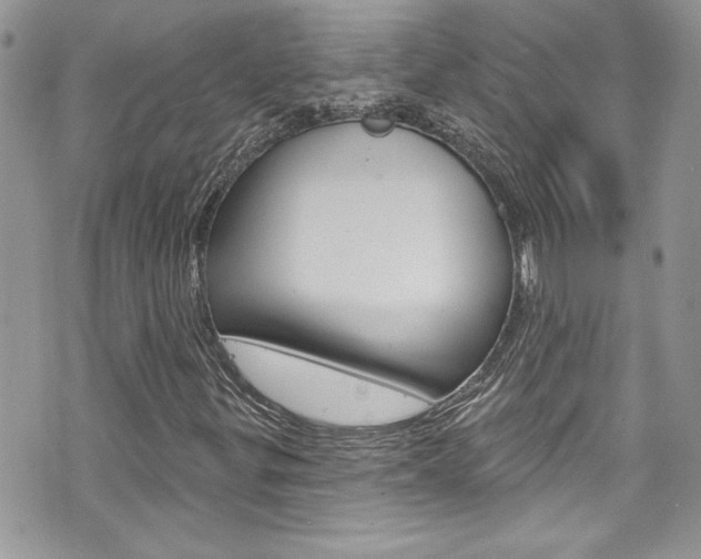 X0000070881299200606161001