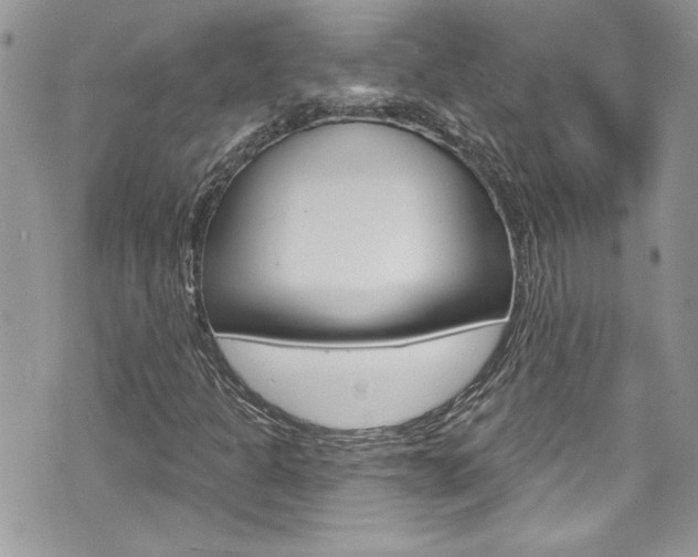 X0000070881301200606161001