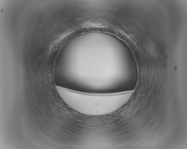 X0000070881303200606161001