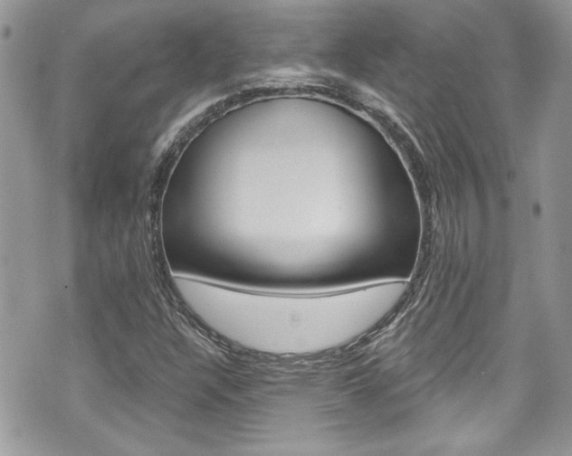 X0000070881304200606161001