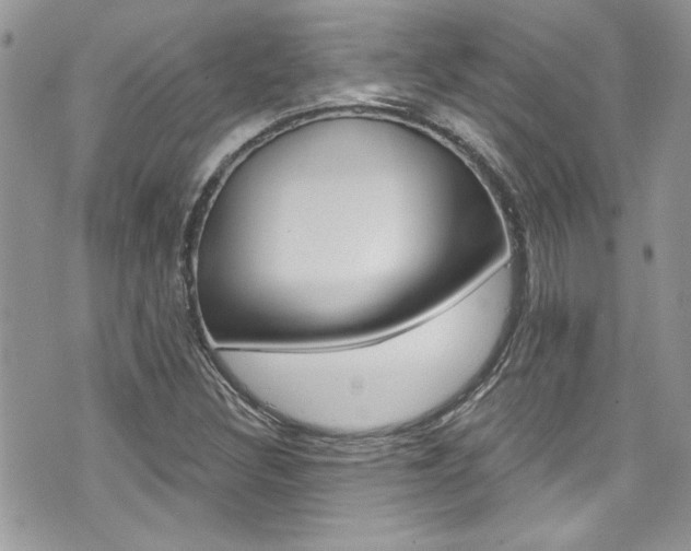 X0000070881308200606161001