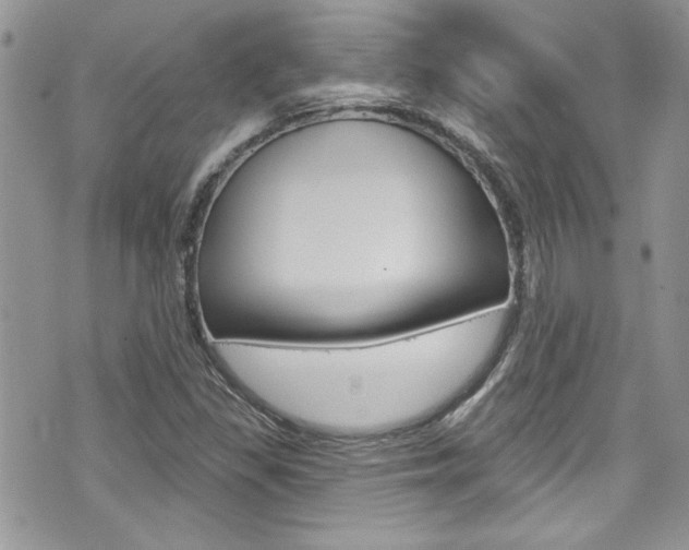 X0000070881309200606161001