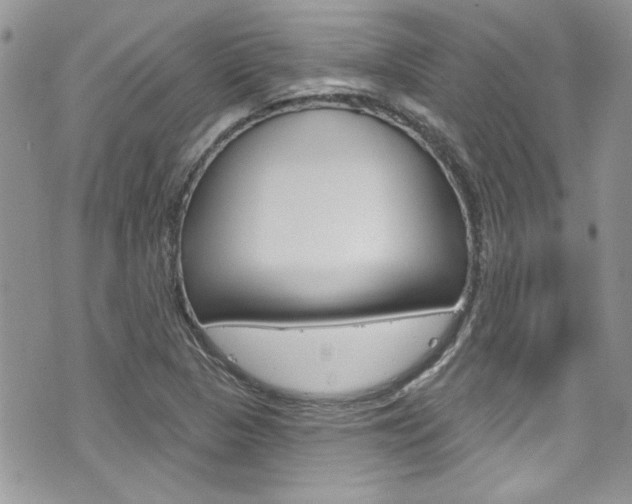 X0000070881313200606161001