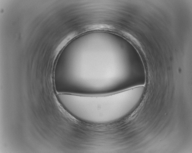 X0000070881330200606161001