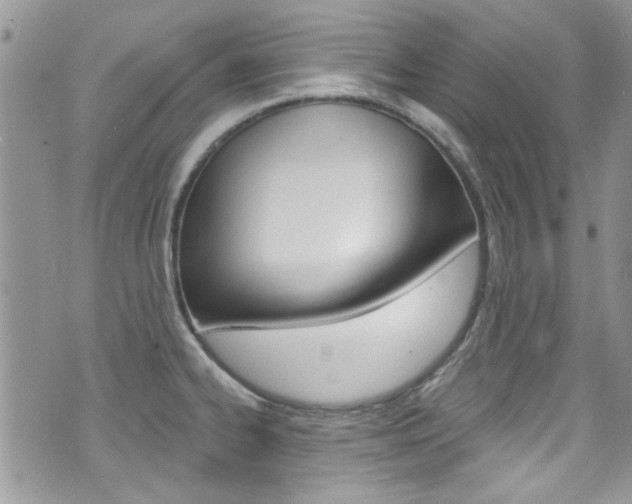 X0000070881334200606161001
