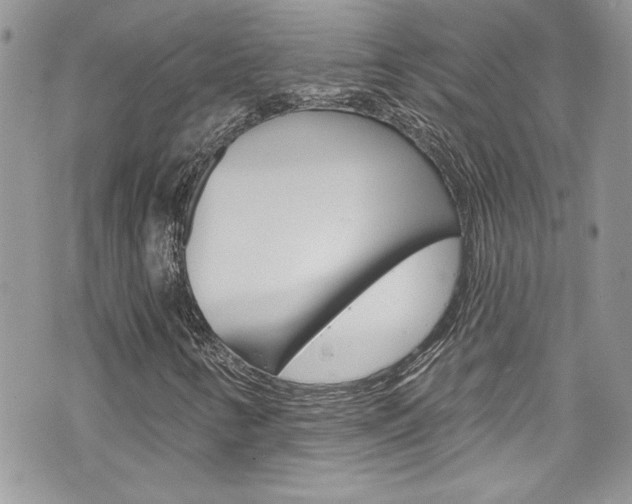 X0000070881346200606161000