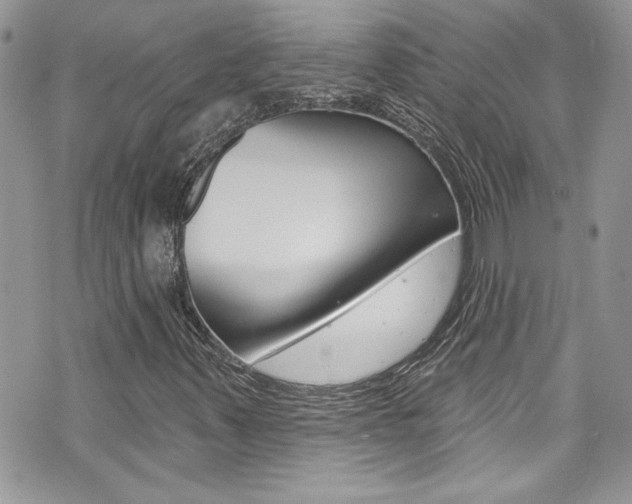 X0000070881347200606161000