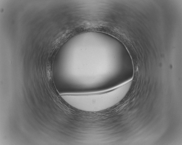 X0000070881348200606161000