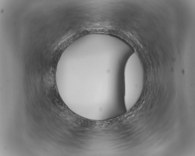 X0000070881350200606161000