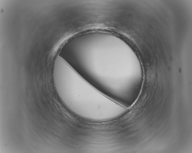 X0000070881359200606161000