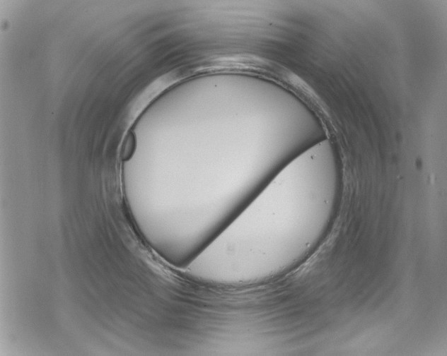 X0000070881370200606161000