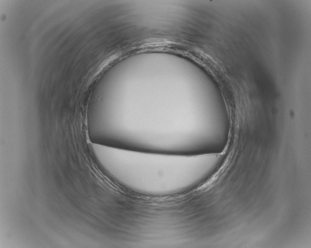 X0000070881401200606160959