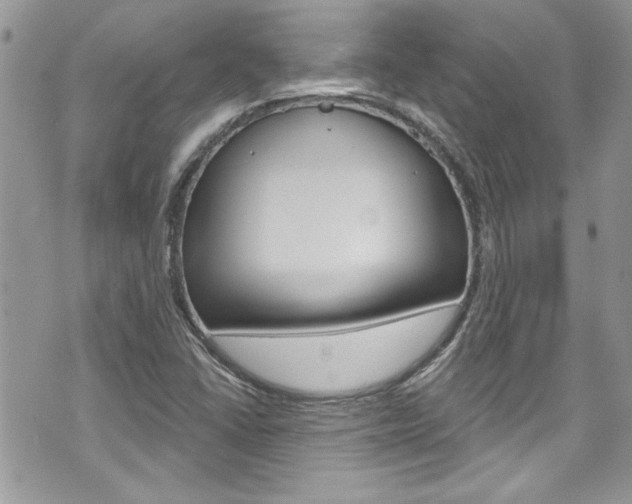 X0000070881406200606160959