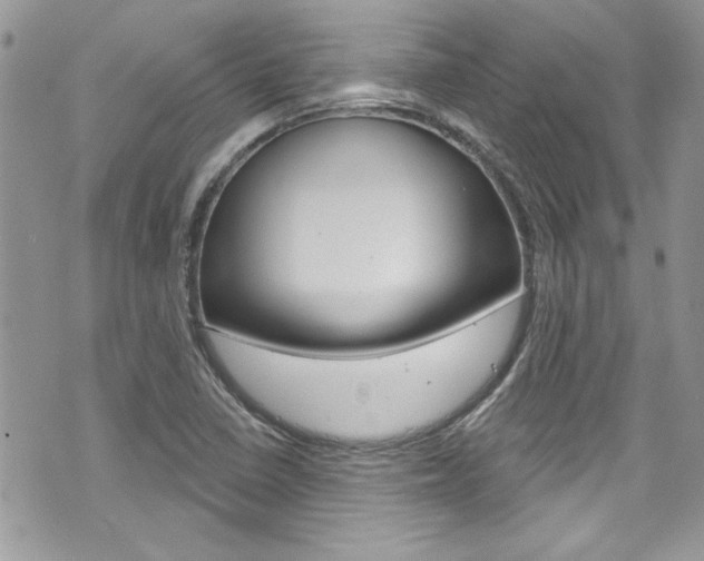 X0000070881410200606160959