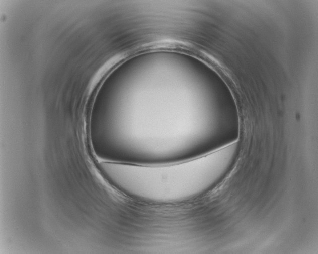X0000070881418200606160959