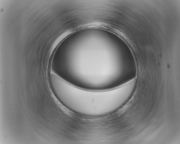 X0000070881426200606160959