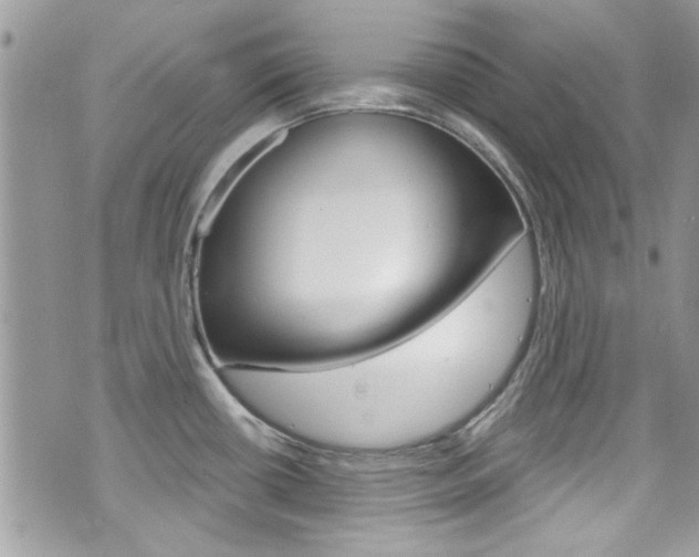 X0000070881434200606161000