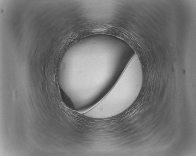 X0000070881441200606160959